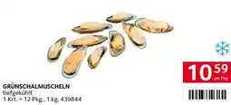 Transgourmet Grünschalmuscheln Angebot