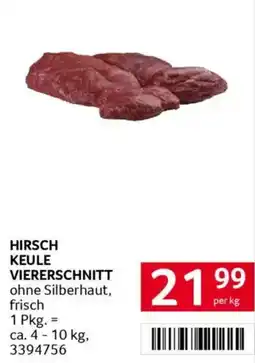 Transgourmet Hirsch keule viererschnitt Angebot