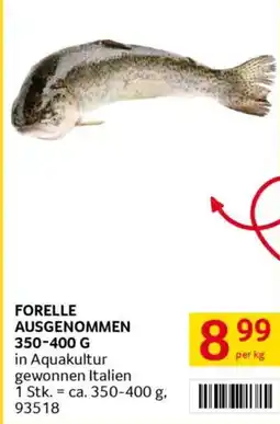 Transgourmet FORELLE AUSGENOMMEN Angebot