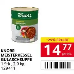 Transgourmet Knorr meisterkessel gulaschsuppe Angebot