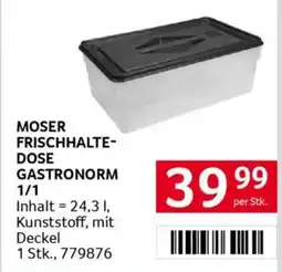 Transgourmet Moser frischhalte- dose gastronorm Angebot