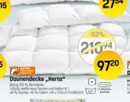 Reiter Daunendecke Sarah Angebot