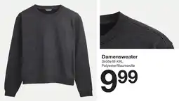 Zeeman Damensweater Angebot