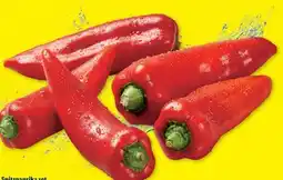 Lidl Spitzpaprika Angebot