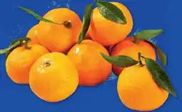 Lidl Clementinen Angebot