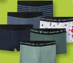 Lidl Lupilu Kleinkinder Boxer Angebot