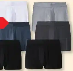 Lidl Esmara Men Herren Boxer Angebot