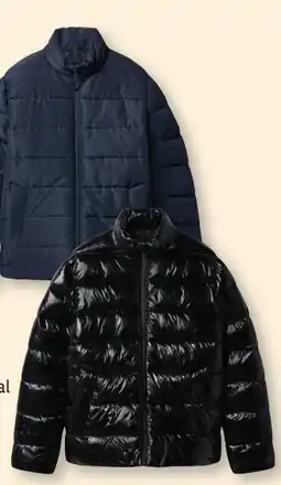 Lidl Esmara Men Herren Steppjacke Angebot