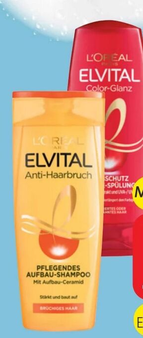 Spar Elvital Shampoo Angebot