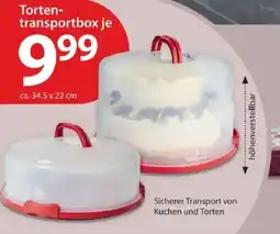 NKD Torten- transportbox Angebot