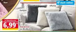 Norma Dekokissen Angebot