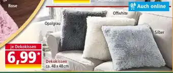 Norma Dekokissen Angebot