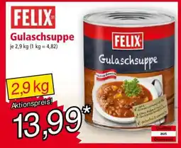Norma Gulaschsuppe Angebot