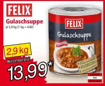 Norma Gulaschsuppe Angebot