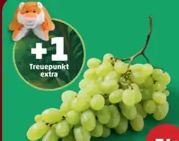 PENNY Trauben Angebot