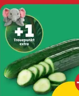 PENNY Gurken Angebot