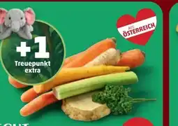PENNY Echt Bio Suppengemüse Angebot