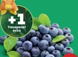 PENNY Heidelbeeren Angebot