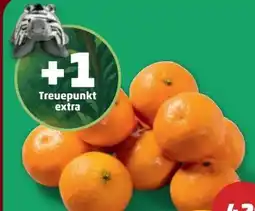 PENNY Clementinen Angebot