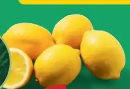 PENNY Echt Bio Zitronen Angebot