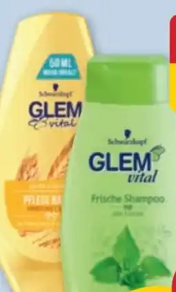 PENNY Schwarzkopf Glem Vital Shampoo Angebot