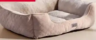 Woolworth Hundebetten Angebot