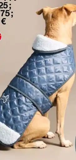 Woolworth Hundesteppjacke Angebot