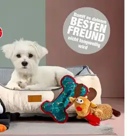 Woolworth Hundespielzeug Angebot