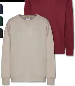 Woolworth Herren Sweatshirt Angebot