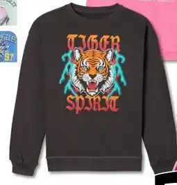 Woolworth Jungen-Sweatshirts Angebot