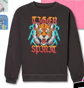 Woolworth Jungen-Sweatshirts Angebot