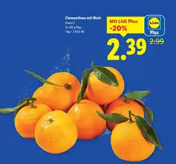 Lidl Clementinen mit blatt Angebot
