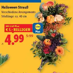 Lidl Halloween Strauß Angebot