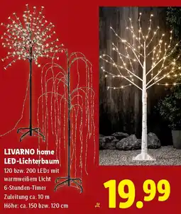 Lidl LIVARNO home LED-Lichterbaum Angebot