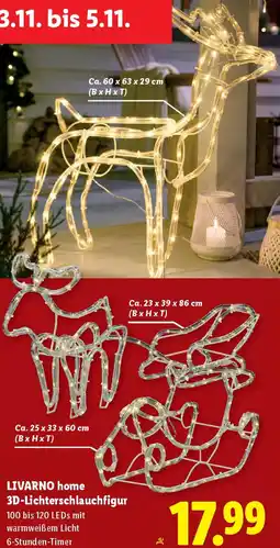 Lidl LIVARNO home 3D-Lichterschlauchfigur Angebot