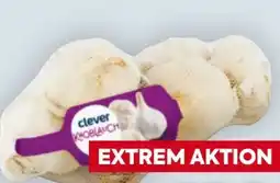 Billa Clever Knoblauch Angebot