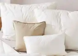 XXXLutz Schlafmond Polster Der kleine Prinz Angebot