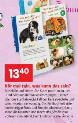Interspar Hör mal rein, was kann das sein? Angebot