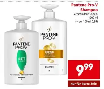 Interspar PANTENE PRO-V SHAMPOO Angebot