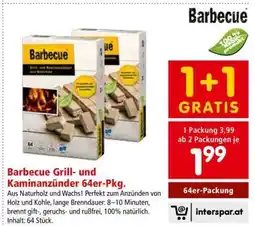 Interspar Barbecue Grill- und Kaminanzünder 64er-Pkg Angebot