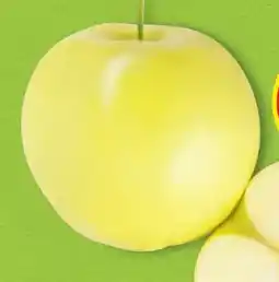 Hofer Hofer Marktplatz Äpfel Berggolden Angebot