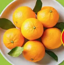 Hofer Hofer Marktplatz Clementinen Angebot