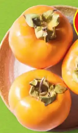 Hofer Hofer Marktplatz Kaki Angebot