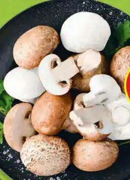 Hofer Hofer Marktplatz Champignons Angebot