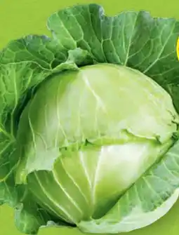 Hofer Hofer Marktplatz Weißkraut Angebot