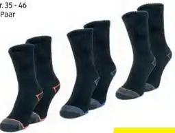 Hofer Toptex Damen-Socken Angebot