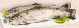 Interspar Kulmer Fisch Regenbogenforelle Angebot