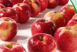 Spar S Budget Äpfel Jonagold Angebot