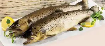 Interspar Fischzucht Gut Dornau Bachforelle Angebot