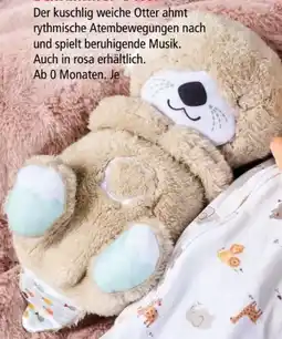 Interspar Fisher Price Plüsch Schlummer-Otter Angebot